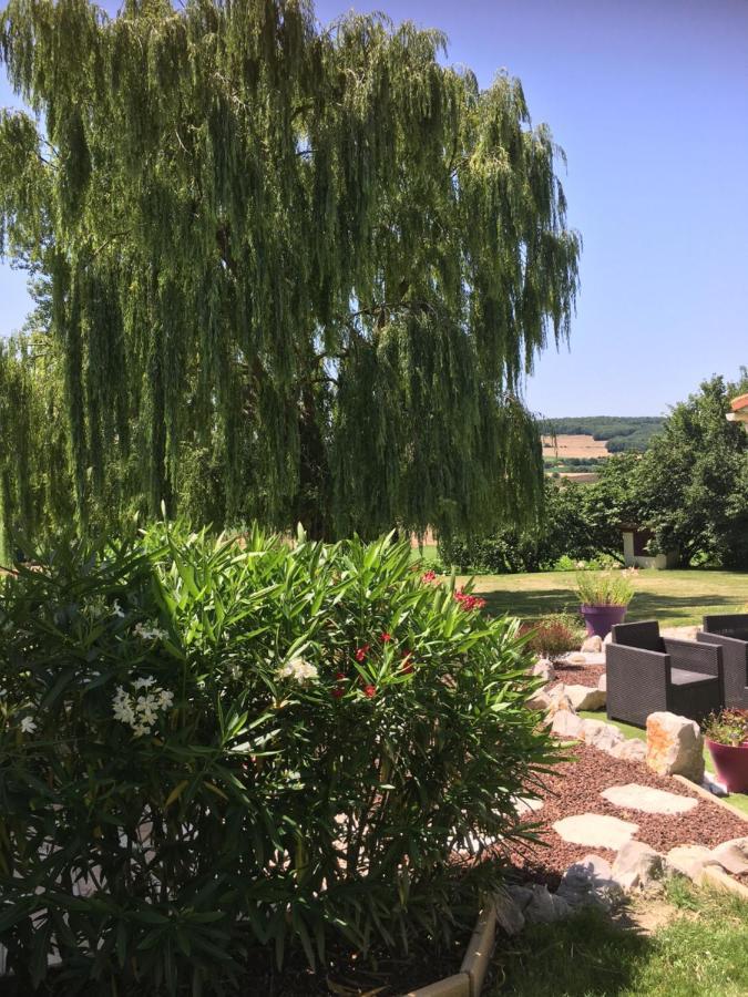 Bed and Breakfast Domaine De La Vigne Cadalen Zewnętrze zdjęcie
