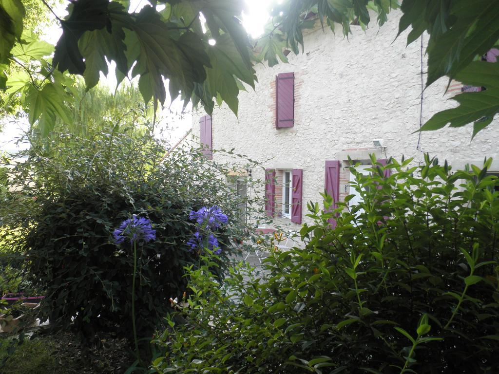 Bed and Breakfast Domaine De La Vigne Cadalen Zewnętrze zdjęcie