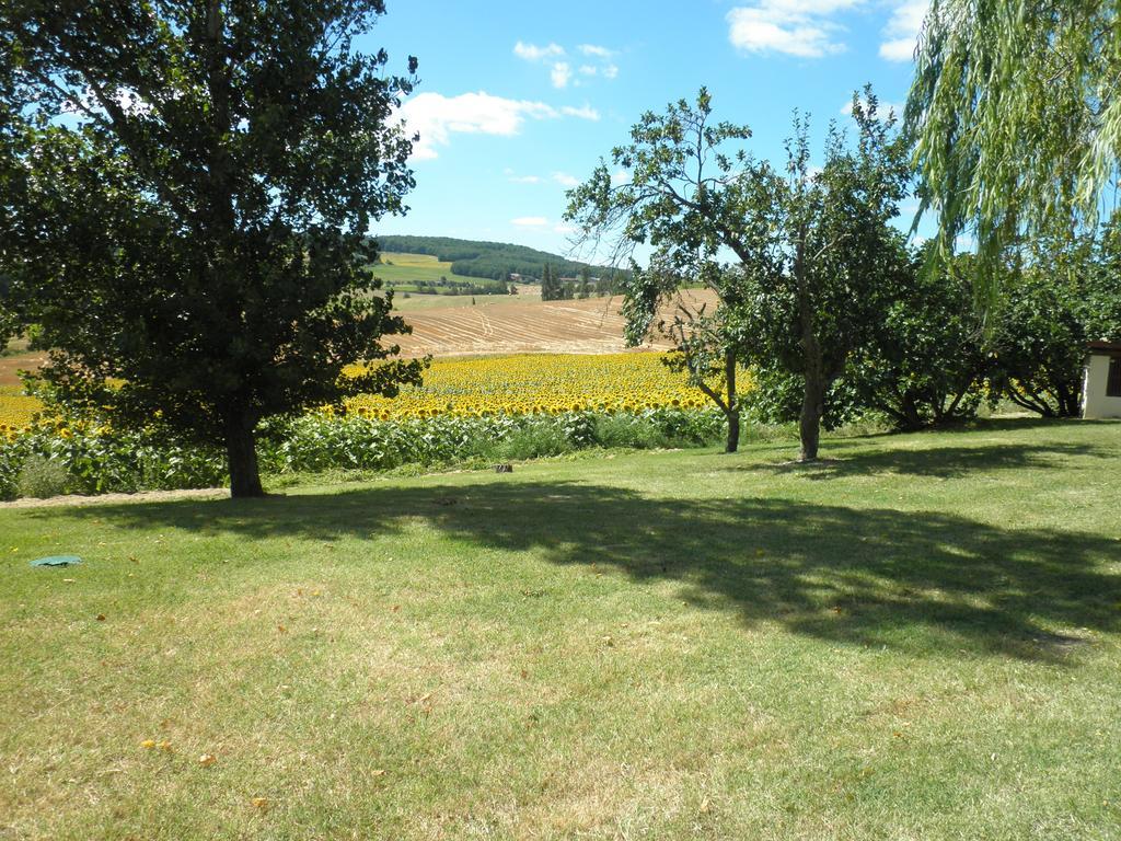Bed and Breakfast Domaine De La Vigne Cadalen Zewnętrze zdjęcie