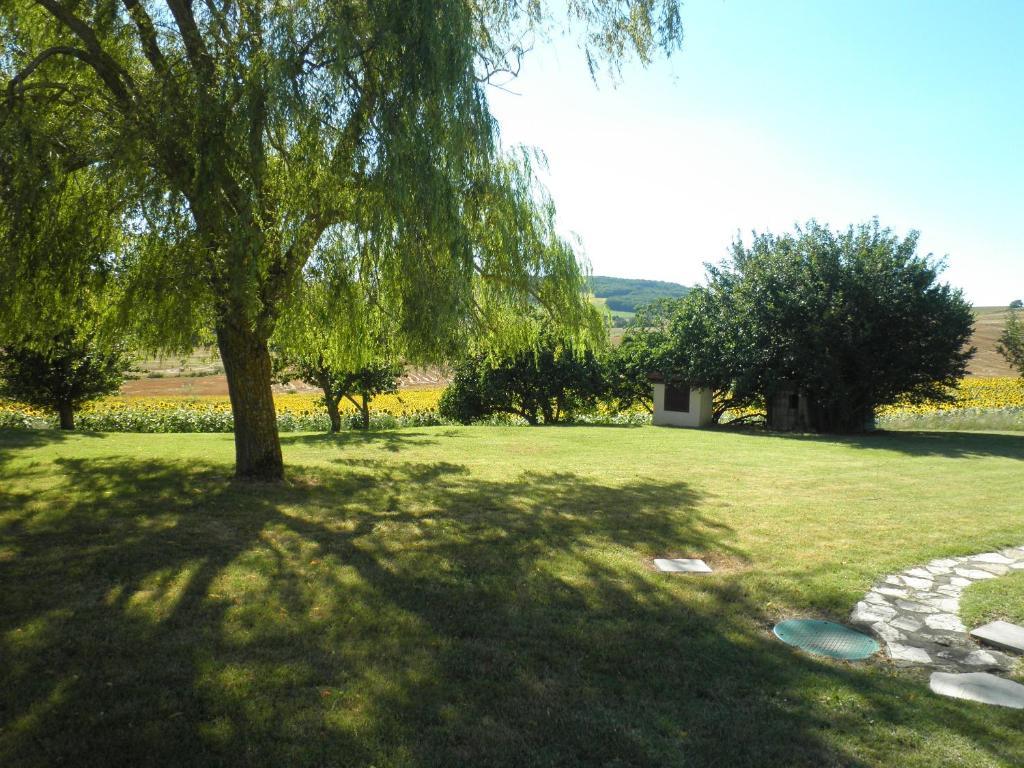 Bed and Breakfast Domaine De La Vigne Cadalen Zewnętrze zdjęcie